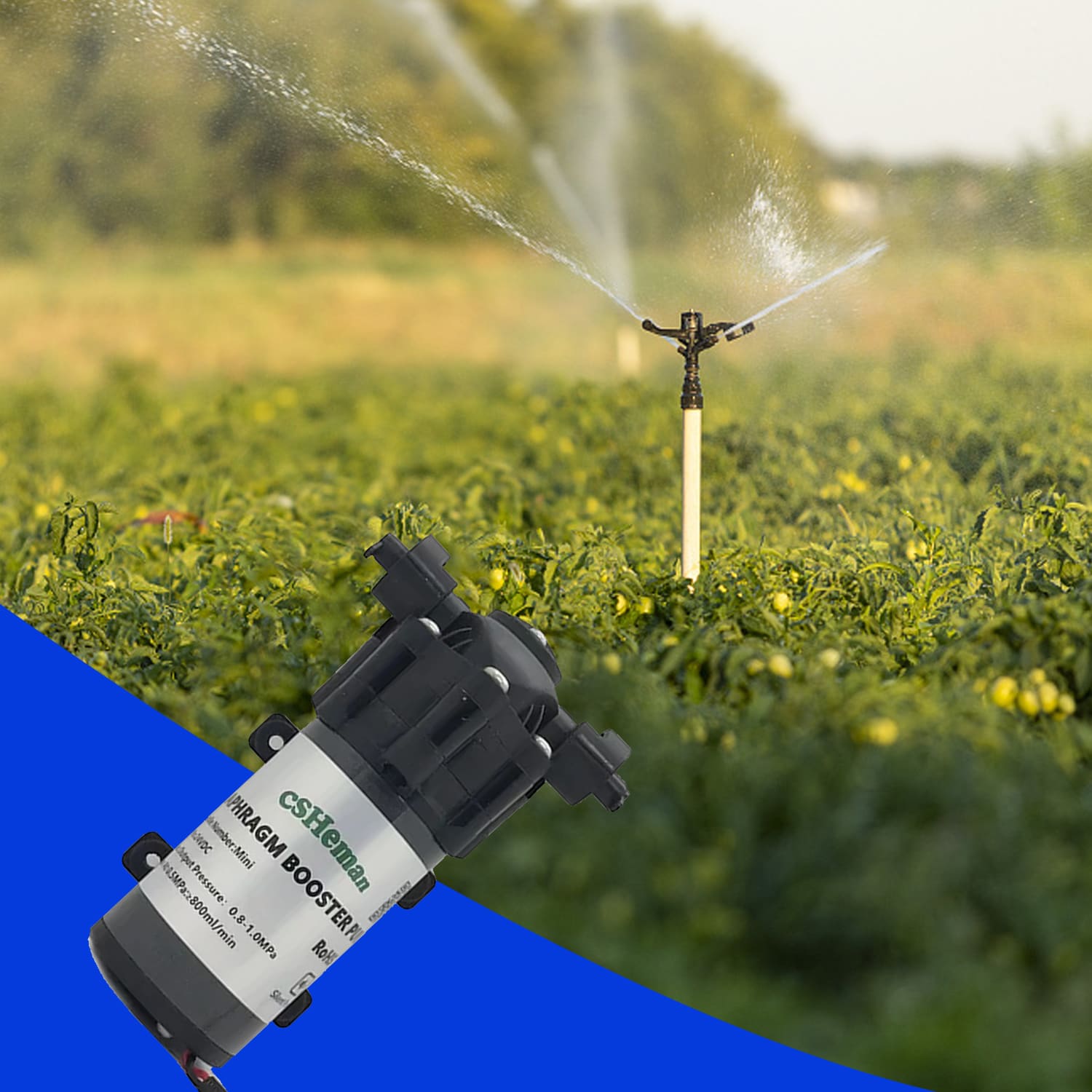 Pocket panda Water Booster 24V 70 Psl Silent Misting Pum Mister for Outside Patio, Garden DIY Micro Drip Irrigation Garden, Lawn, Home