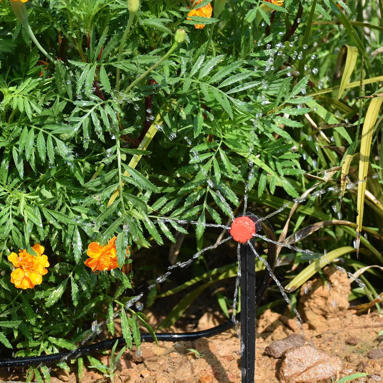 Drip Irrigation System Kit